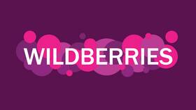 История создания и развития Wildberries в Рубль Бум