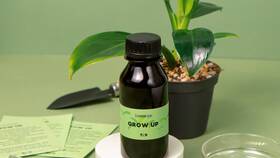 Как использовать Grow для эффективного роста растений в Рубль Бум