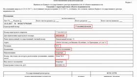 Как понять информацию в выписке из ЕГРН в Рубль Бум