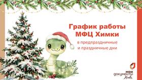 Как работают МФЦ в Химках