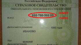 Как работодателю проверить СНИЛС сотрудника в Рубль Бум