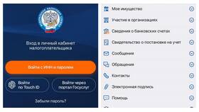 Как выгрузить ИНН с портала Госуслуги в Рубль Бум
