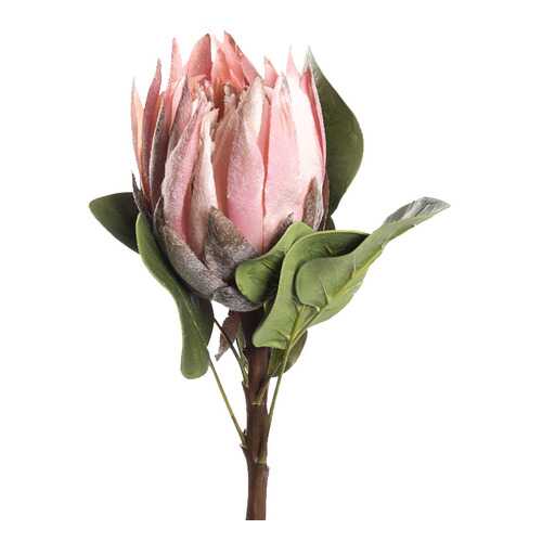 Цветок искусственный Протея Silk-ka 60см, розовый в Рубль Бум