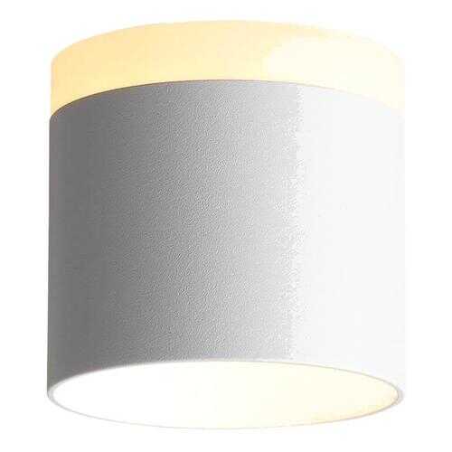 Потолочный светодиодный светильник ST Luce Panaggio ST102.502.09 в Рубль Бум